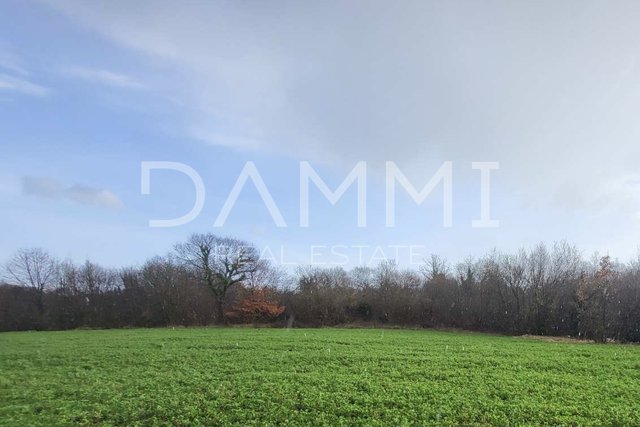 ISTRIA, BARBAN - Agricultural, non-building land 3802 m2