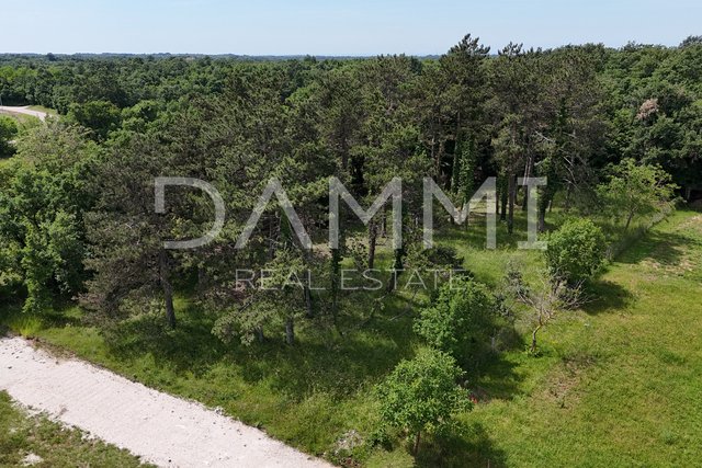 ISTRIA, ŽMINJ - Building land in a prime location