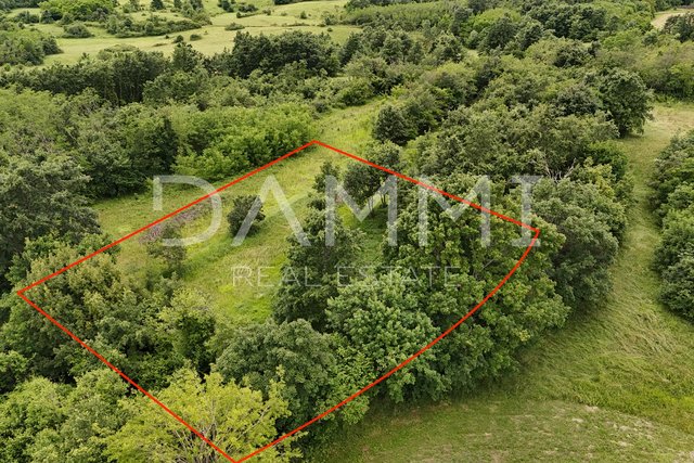 ISTRIA, PAZIN - Building land on a secluded spot surrounded by nature