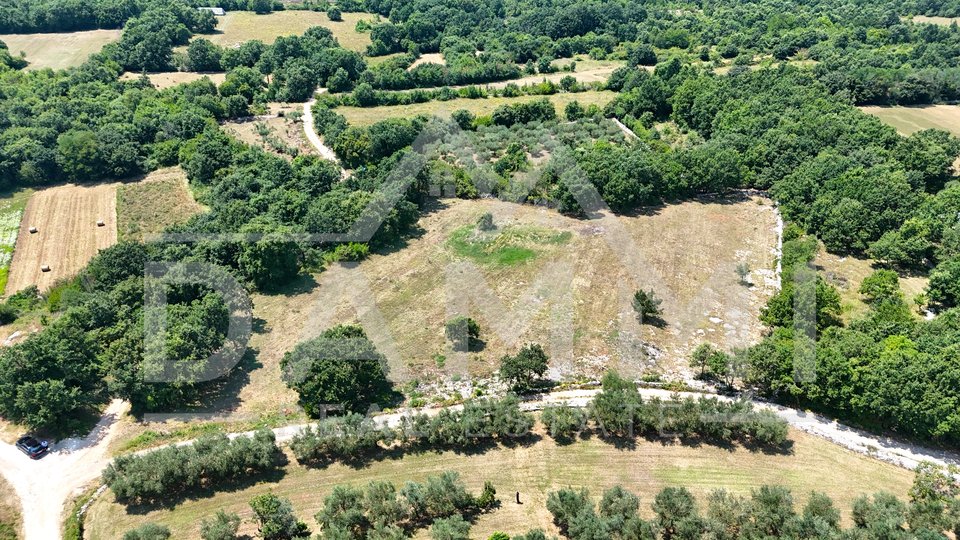 ISTRIA, KANFANAR - GRANDE TERRENO EDIFICABILE NELL'ENTROTERRA DI ROVIGNO