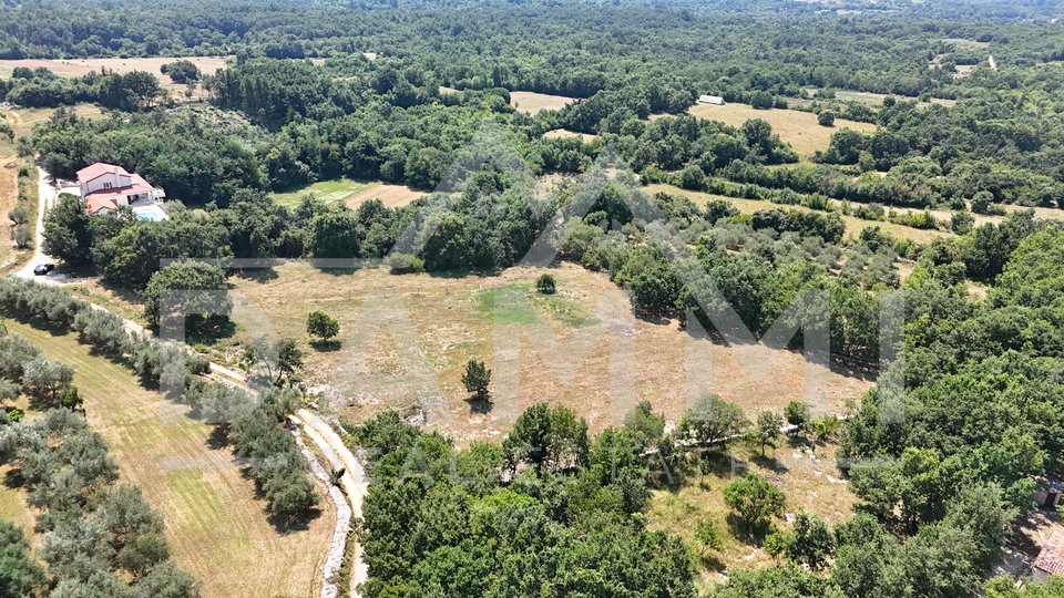 ISTRIA, KANFANAR - GRANDE TERRENO EDIFICABILE NELL'ENTROTERRA DI ROVIGNO