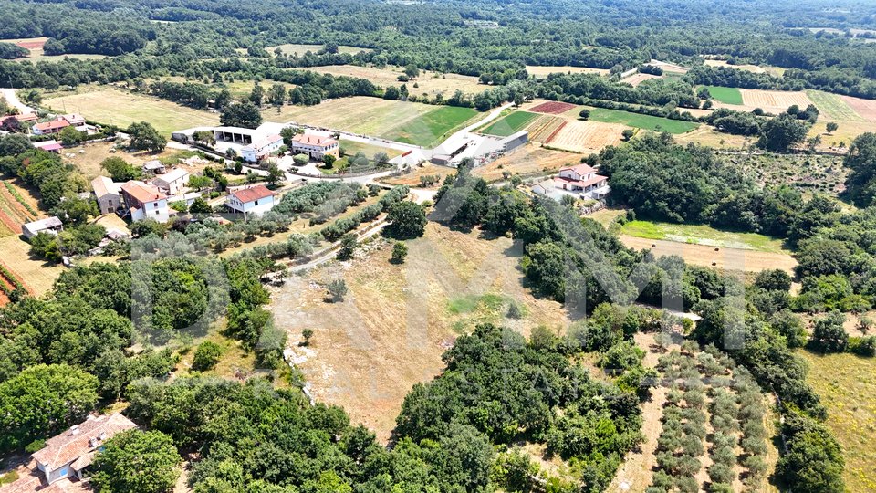 ISTRIA, KANFANAR - GRANDE TERRENO EDIFICABILE NELL'ENTROTERRA DI ROVIGNO