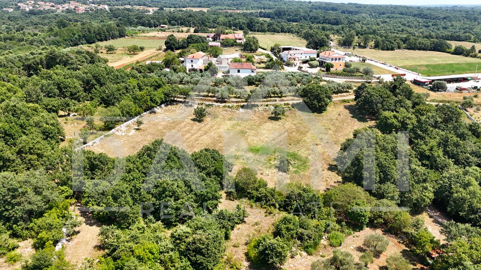 ISTRIA, KANFANAR - GRANDE TERRENO EDIFICABILE NELL'ENTROTERRA DI ROVIGNO