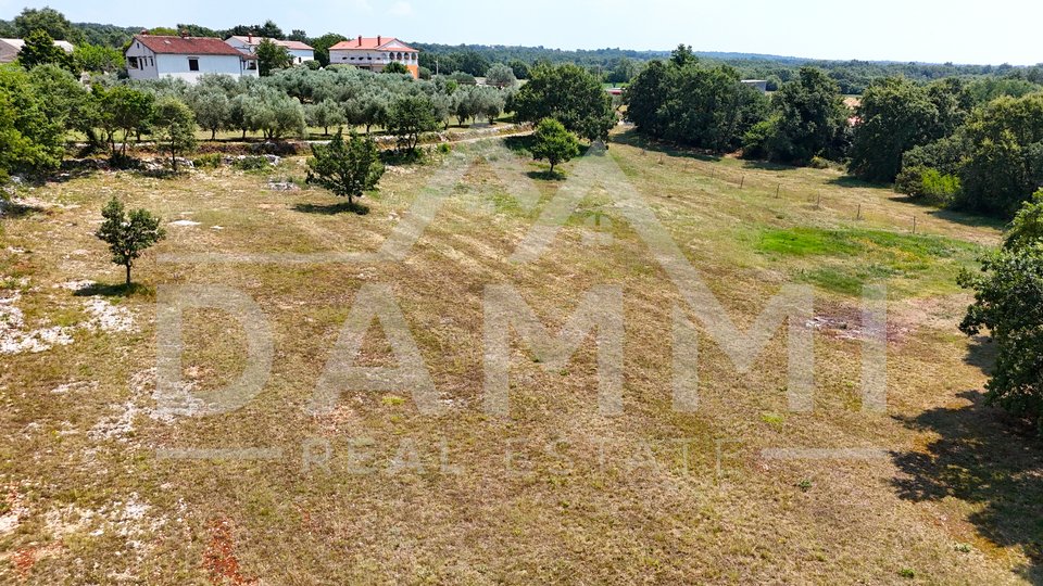 ISTRIA, KANFANAR - GRANDE TERRENO EDIFICABILE NELL'ENTROTERRA DI ROVIGNO