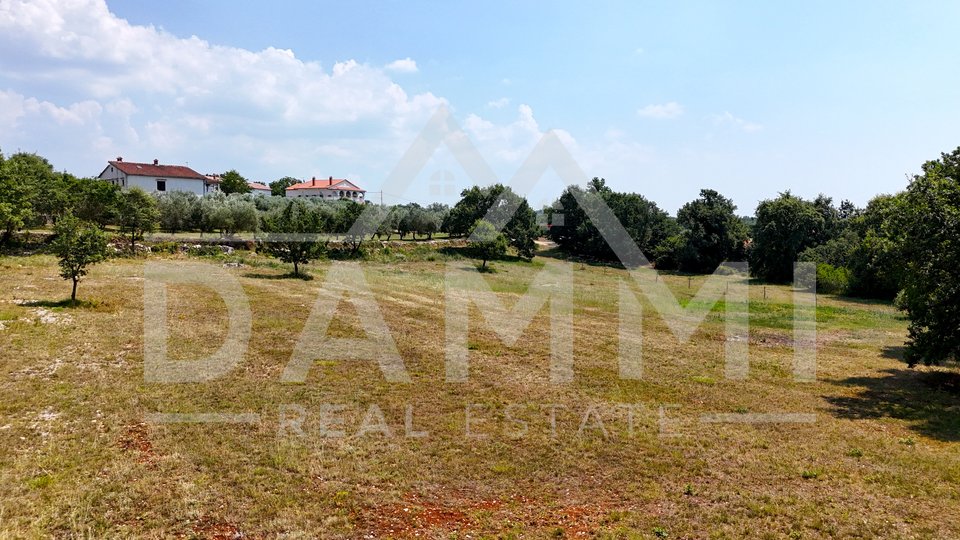 ISTRIA, KANFANAR - GRANDE TERRENO EDIFICABILE NELL'ENTROTERRA DI ROVIGNO