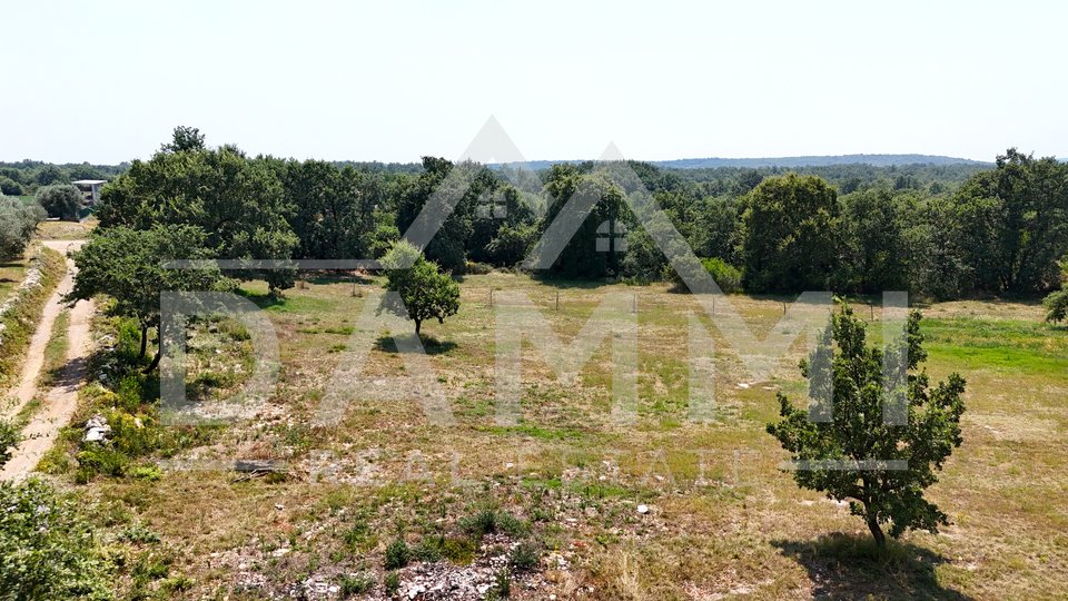 ISTRIA, KANFANAR - GRANDE TERRENO EDIFICABILE NELL'ENTROTERRA DI ROVIGNO