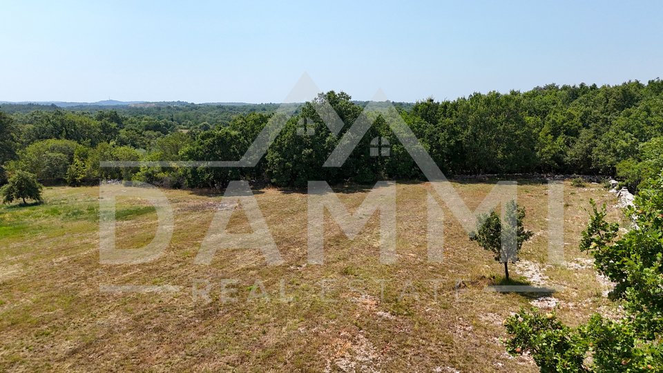 ISTRIA, KANFANAR - LARGE BUILDING LAND IN THE BACKLANDS OF ROVINJ