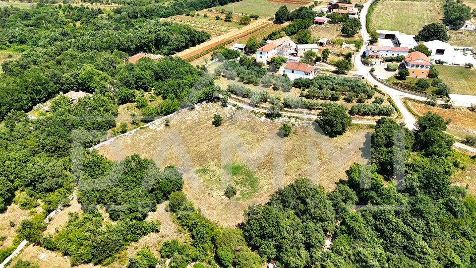 ISTRIA, KANFANAR - GRANDE TERRENO EDIFICABILE NELL'ENTROTERRA DI ROVIGNO