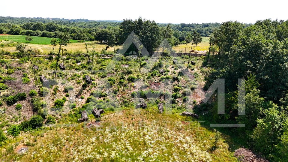 ISTRA, KANFANAR - Građevinsko zemljište na osamini 1006 m2