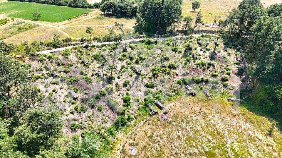 ISTRA, KANFANAR - Građevinsko zemljište na osamini 1006 m2