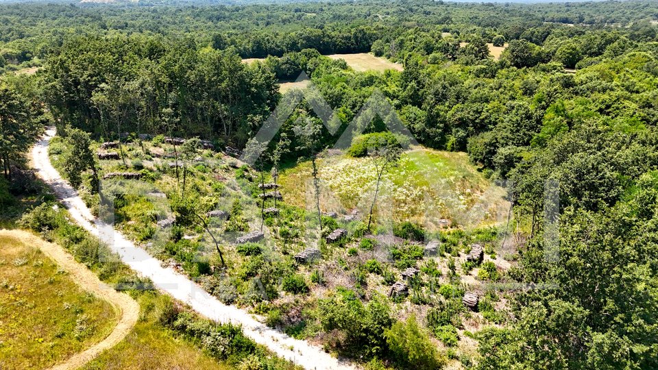 ISTRA, KANFANAR - Građevinsko zemljište na osamini 1006 m2