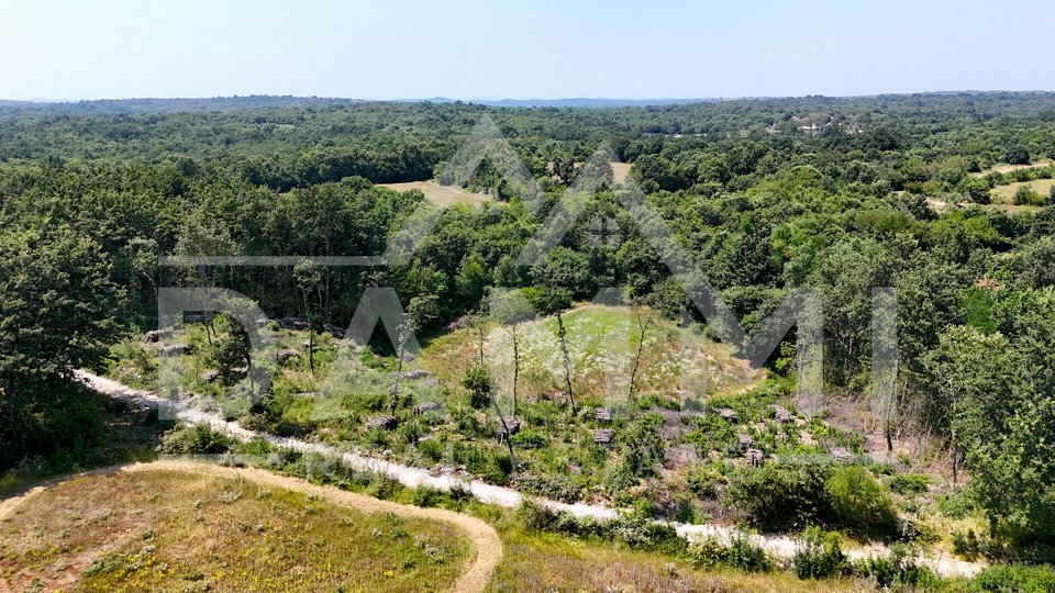 ISTRA, KANFANAR - Građevinsko zemljište na osamini 1006 m2