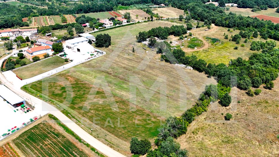 ISTRIA, SVETI LOVREČ - Big building land for investors