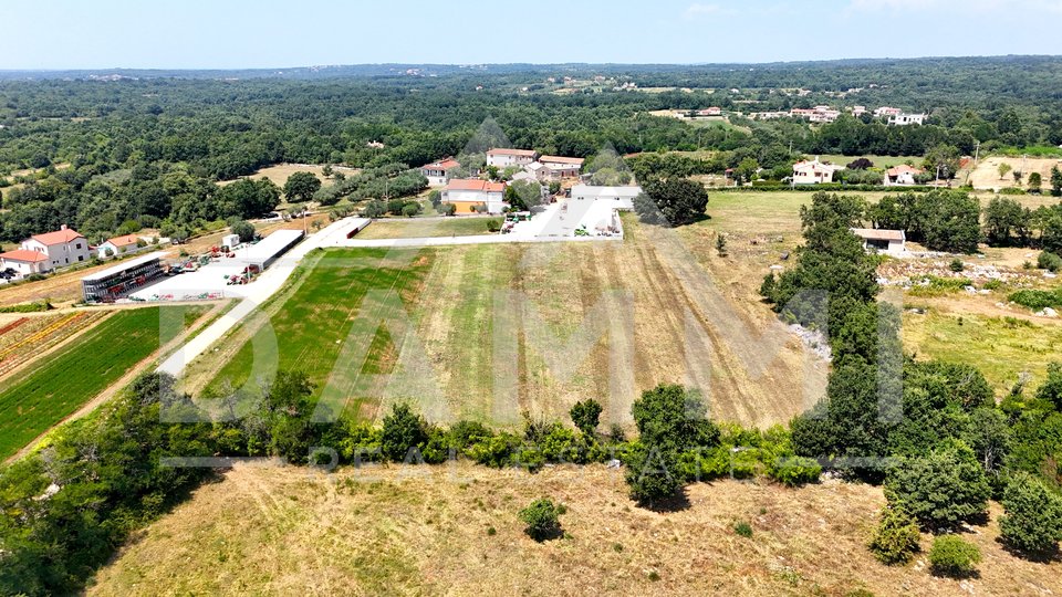 ISTRIA, SVETI LOVREČ - Big building land for investors