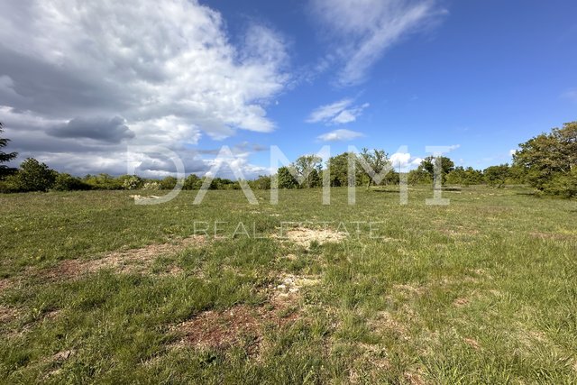 ISTRIA, BARBAN - Large construction-agricultural land with a facility of 13793 m2