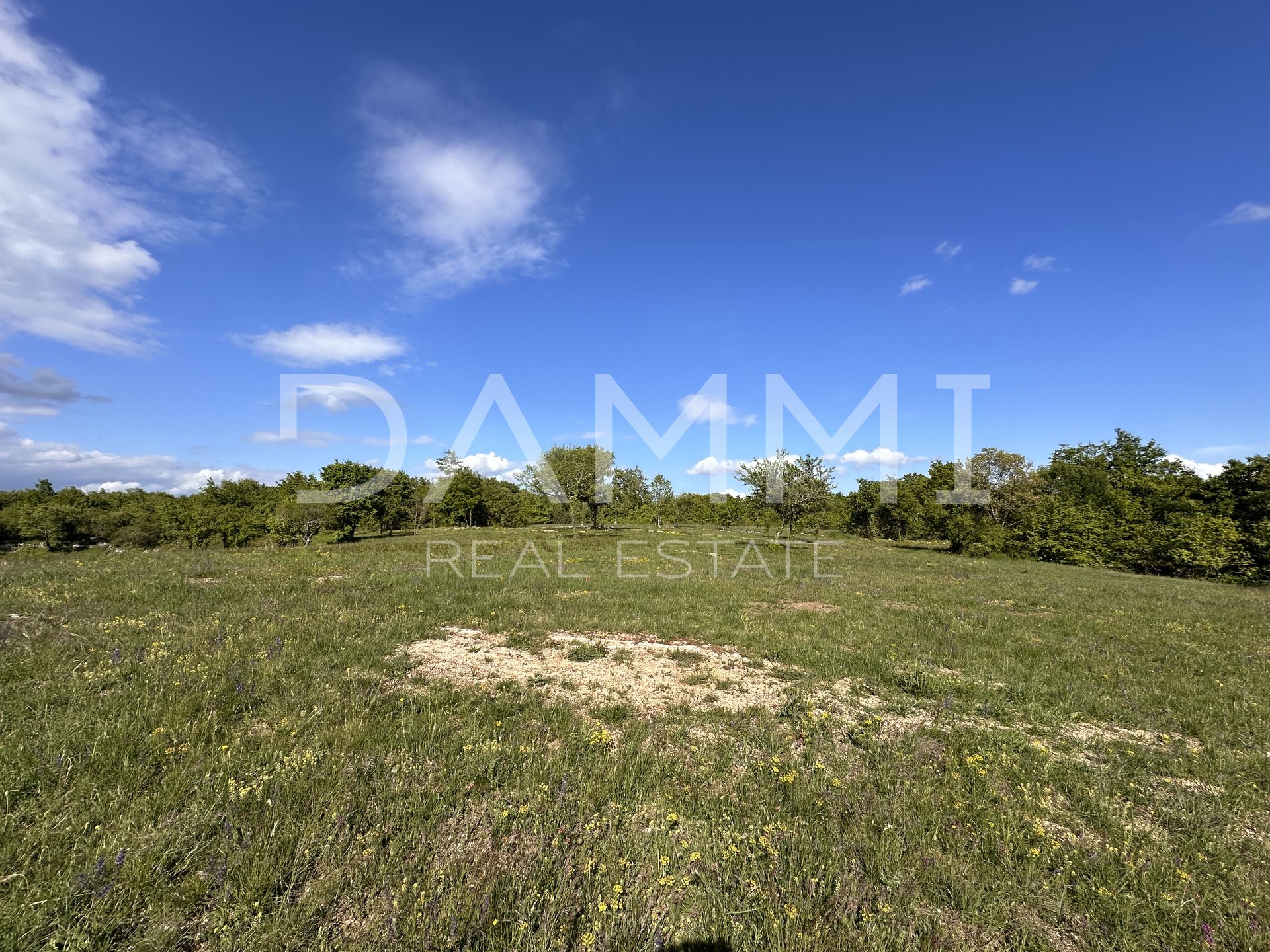 ISTRIA, BARBAN - Large construction-agricultural land with a facility of 13793 m2