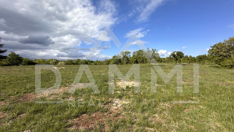 ISTRIA, BARBAN - Large construction-agricultural land with a facility of 13793 m2