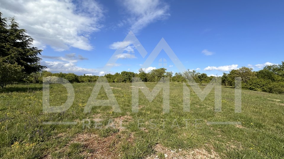 ISTRIA, BARBAN - Large construction-agricultural land with a facility of 13793 m2