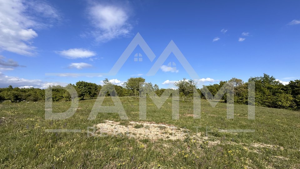 ISTRIA, BARBAN - Large construction-agricultural land with a facility of 13793 m2