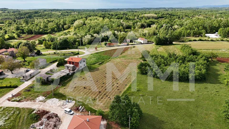 ISTRA, ŽMINJ - Građevinsko zemljište 1001m2 s otvorenim pogledom