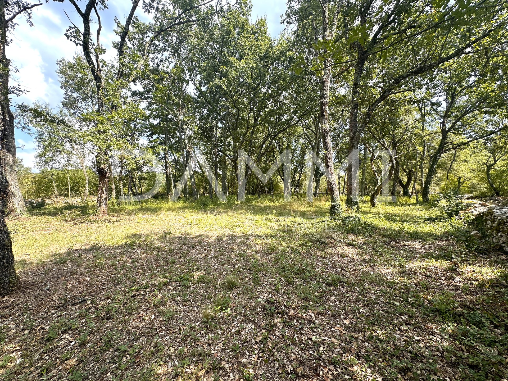 ISTRA, TINJAN - Građevinsko zemljište na osamini okruženo zelenilom