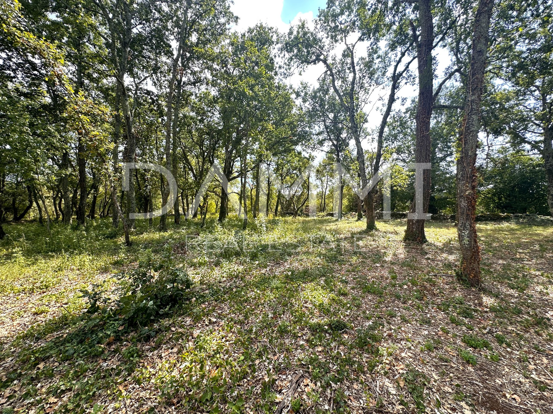 ISTRIA, TINJAN - Terreno edificabile in zona appartata e immersa nel verde