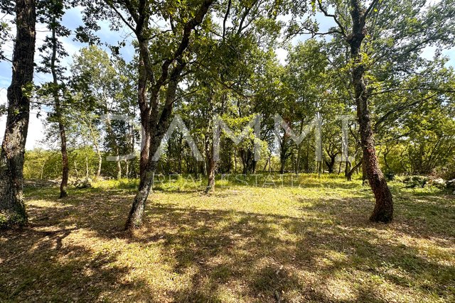 ISTRIA, TINJAN - Building land in a secluded area surrounded by greenery