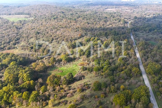 ISTRA, ROVINJ - Atraktivno poljoprivredno zemljište 54035 m2 iznimna lokacija