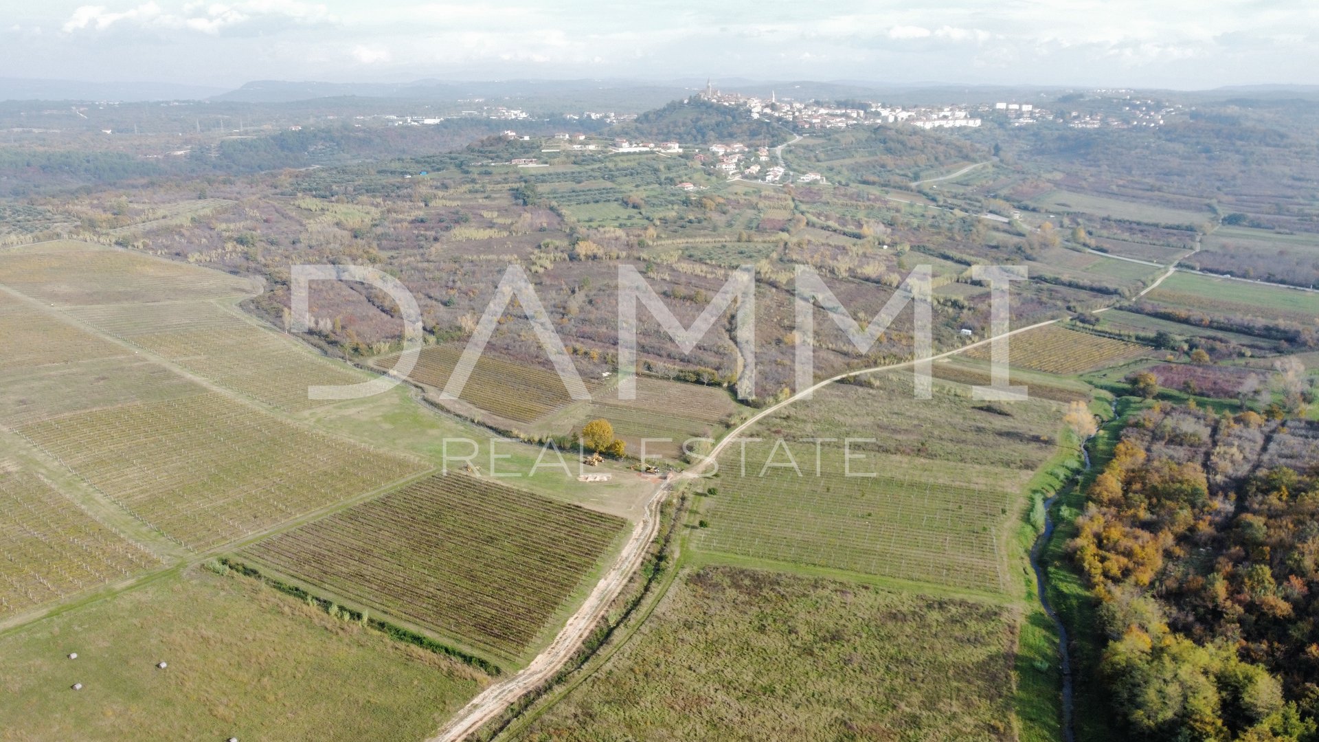 ISTRIA, BUJE - Vigneto perfetto in ottima posizione 9350 m2