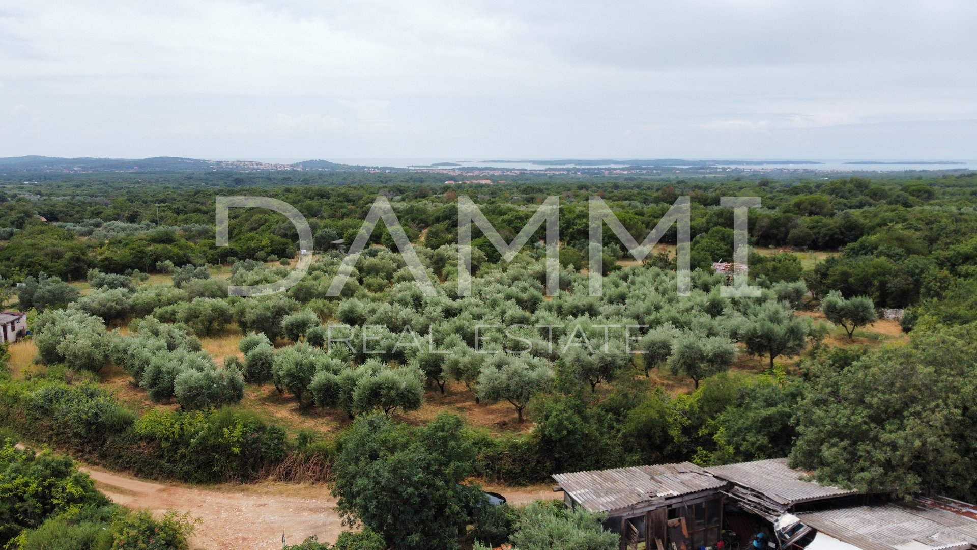 ISTRIA, GALIŽANA- MASLINIK 2082m2 ON THE EDGE OF URBANIZATION