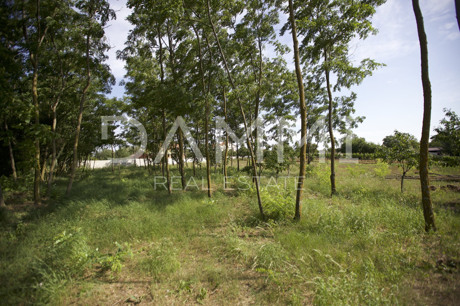 ISTRIA, KANFANAR - Building plot 1605m2