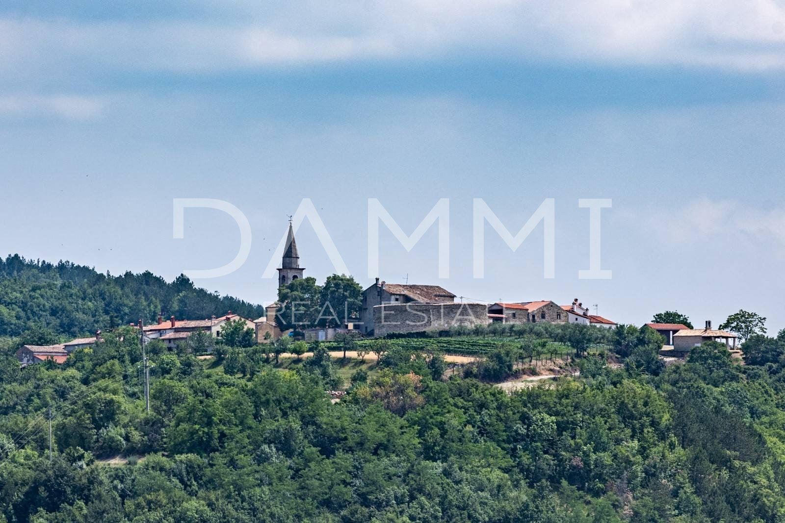 ISTRIA, DRAGUĆ - ATTRACTIVE VILLA IN A HIDDEN PLACE WITH AN UNTOUCHED NATURE VIEW