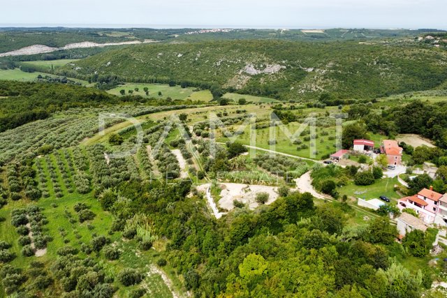 ISTRIA, BUJE, KRASICA - Terreno edificabile 770m2 con vista panoramica