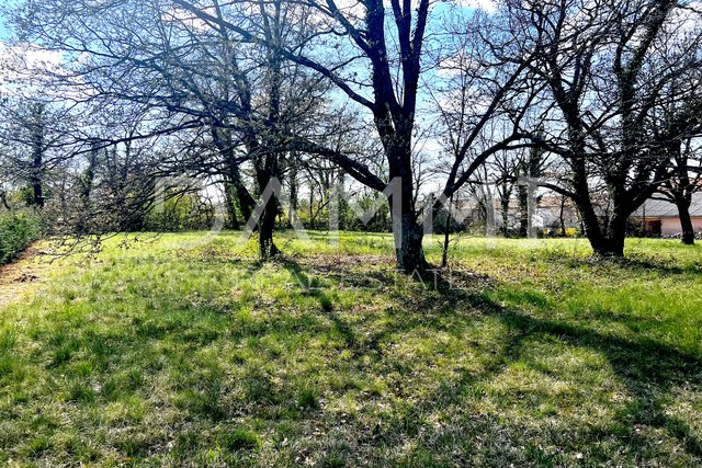 ISTRA, ŽMINJ - GRAĐEVINSKO ZEMLJIŠTE SA POGLEDOM NA ŽMINJ