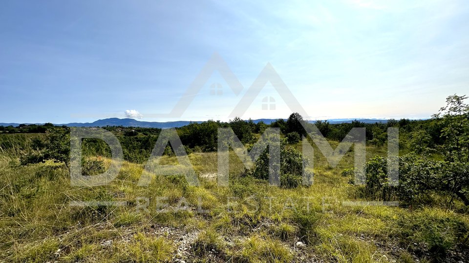CENTRAL ISTRIA - Agricultural land 50,860 m2 with an panoramic view