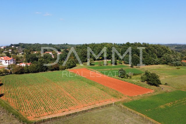 ISTRIA CENTRALE - Complesso unico di terreni agricoli edificabili