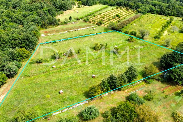 ZENTRALISTRIEN - Großes Baugrundstück im Herzen Istriens 7330m2