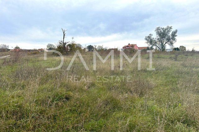 ISTRIA, SVETVINČENAT - Bel terreno edificabile 600 m2